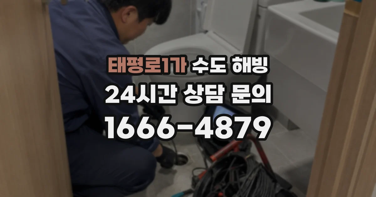 태평로1가 수도 해빙