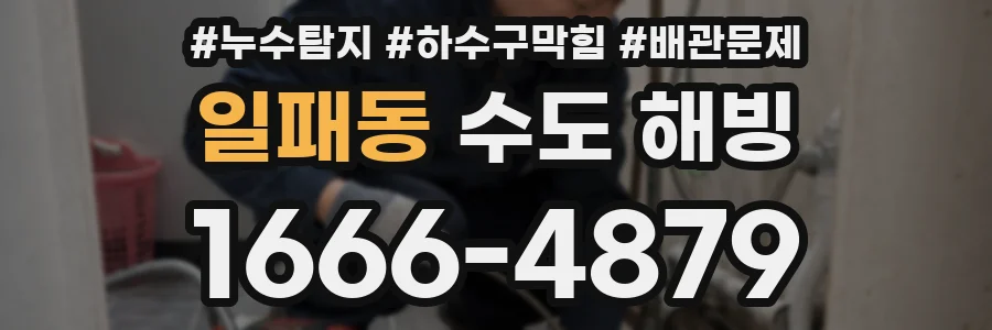 일패동 수도 해빙