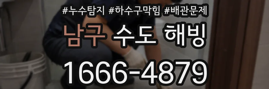 남구 수도 해빙