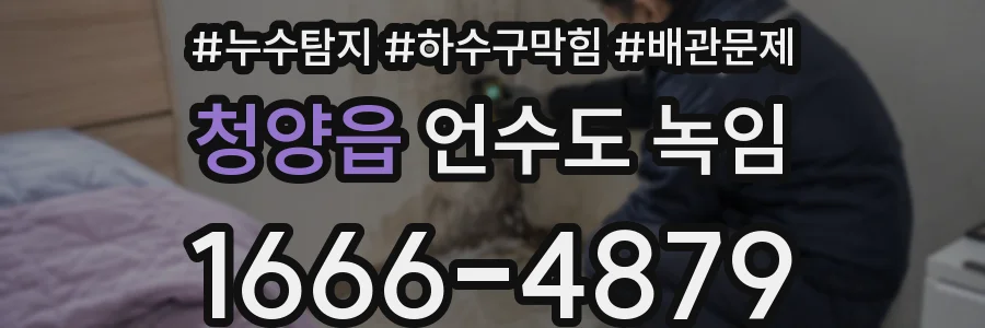 청양읍 언수도 녹임