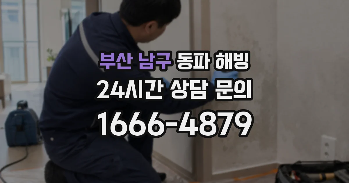 부산 남구 동파 해빙