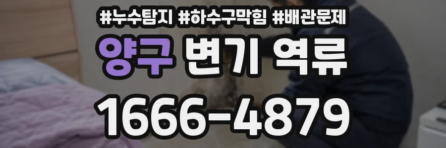 양구 변기 역류