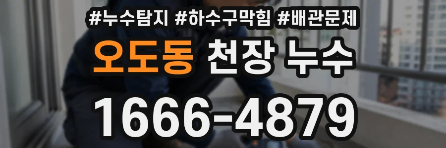 오도동 천장 누수