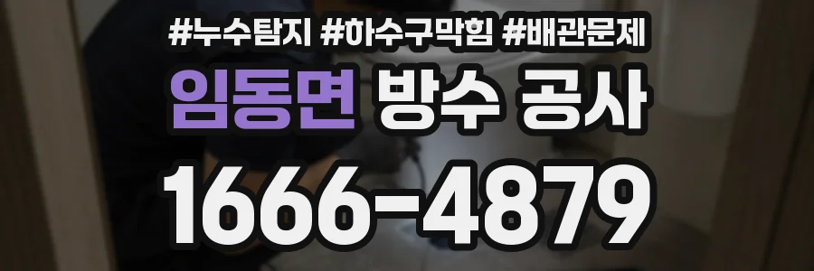임동면 방수 공사