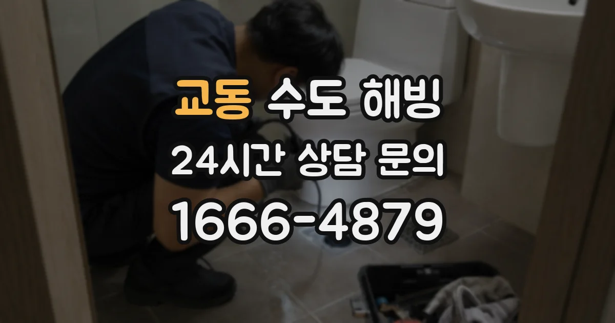 교동 수도 해빙