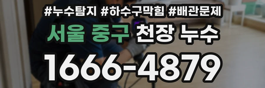 서울 중구 천장 누수