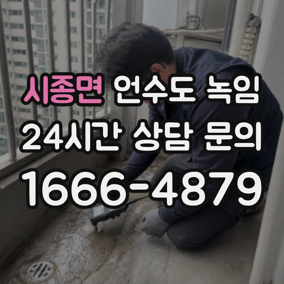 시종면 언수도 녹임