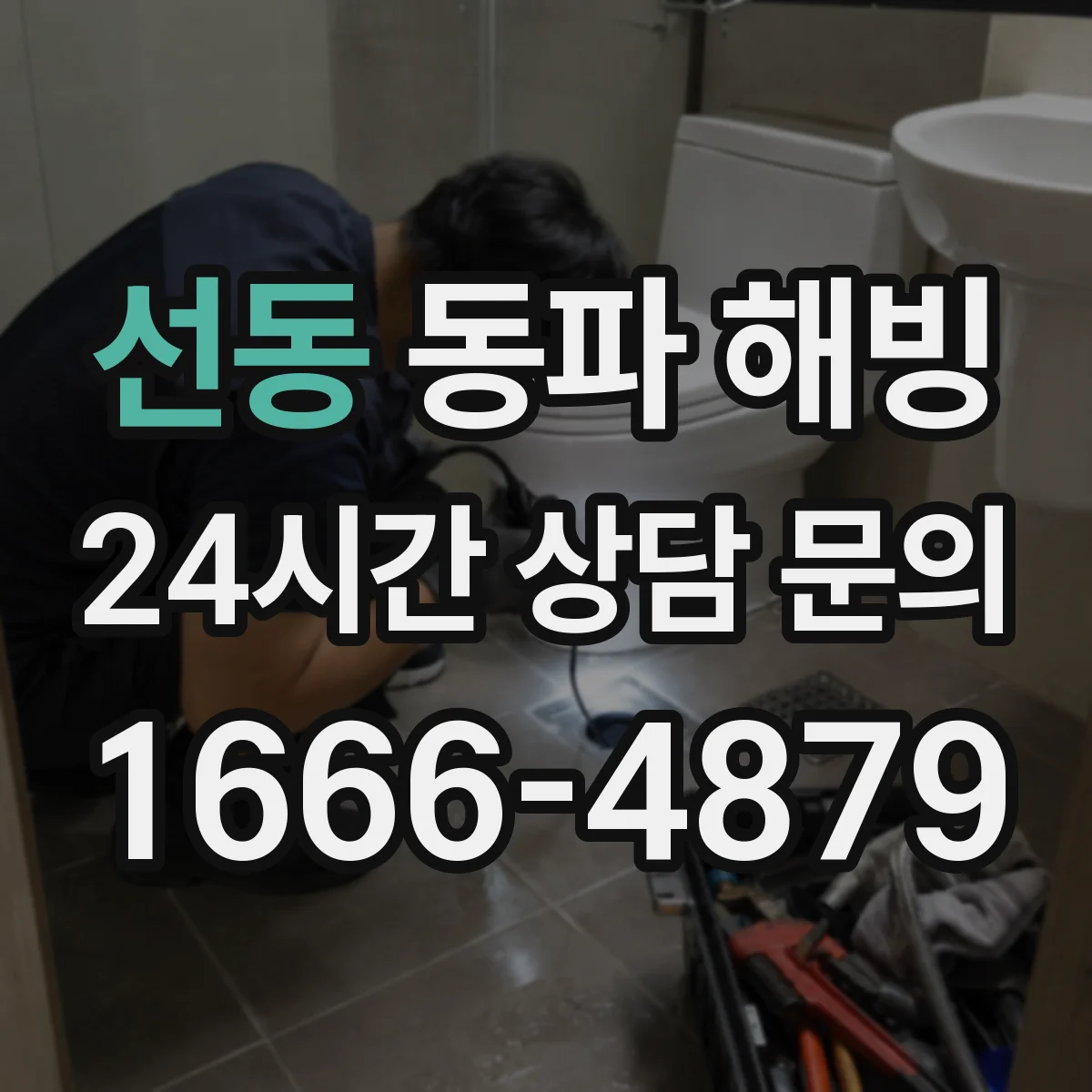 선동 동파 해빙