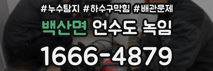 백산면 언수도 녹임