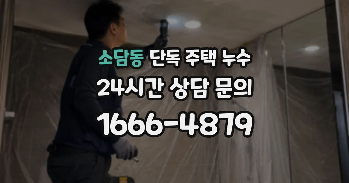 소담동 단독 주택 누수