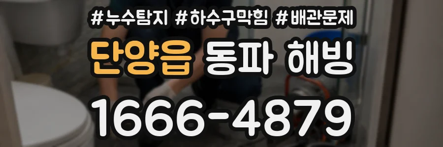 단양읍 동파 해빙