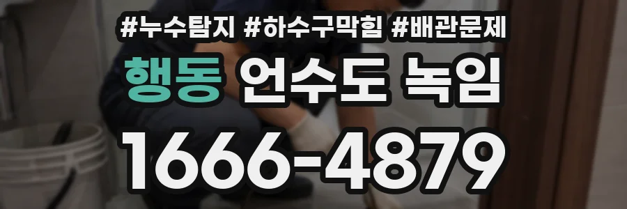 행동 언수도 녹임