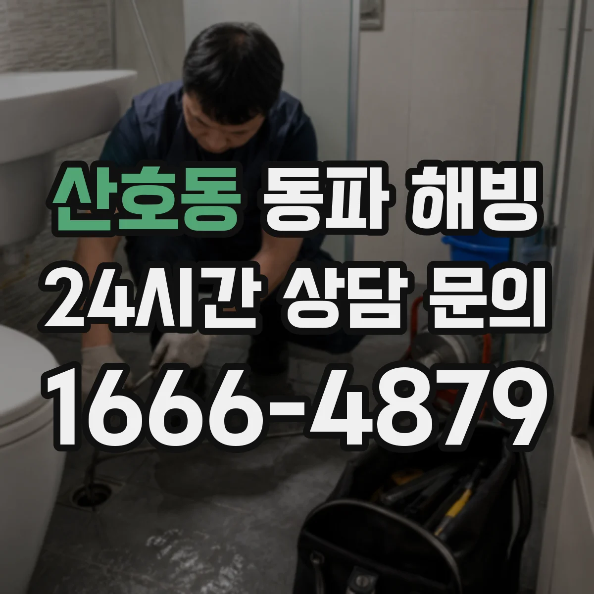 산호동 동파 해빙