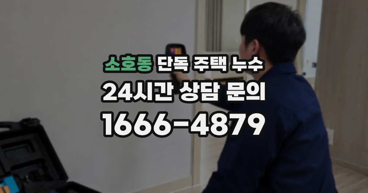 소호동 단독 주택 누수