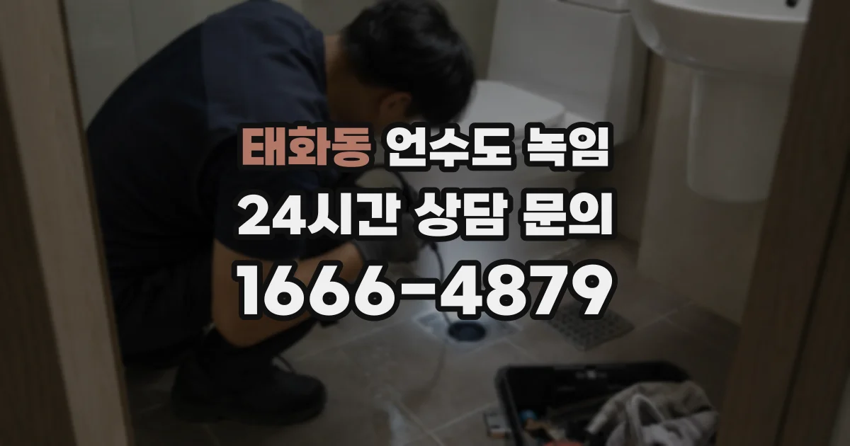 태화동 언수도 녹임