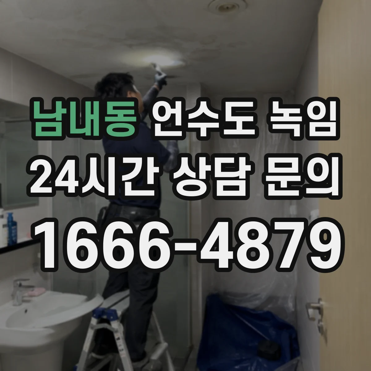 남내동 언수도 녹임