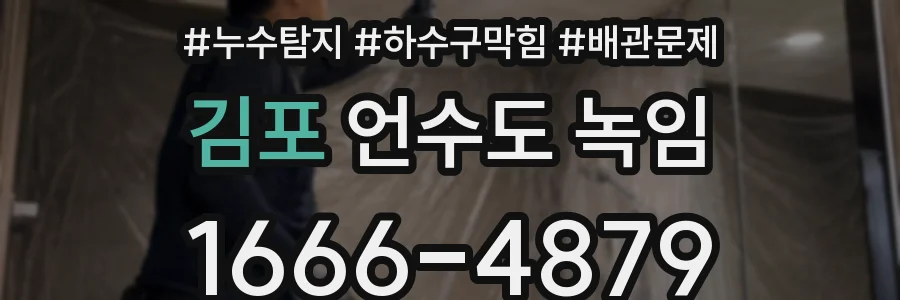 김포 언수도 녹임