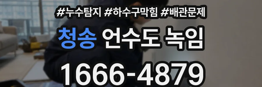청송 언수도 녹임