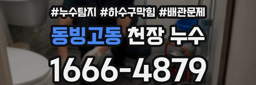 동빙고동 천장 누수