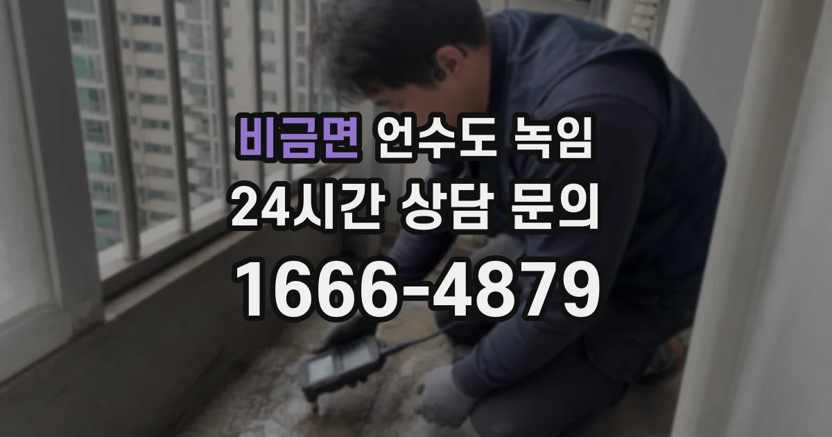 비금면 언수도 녹임