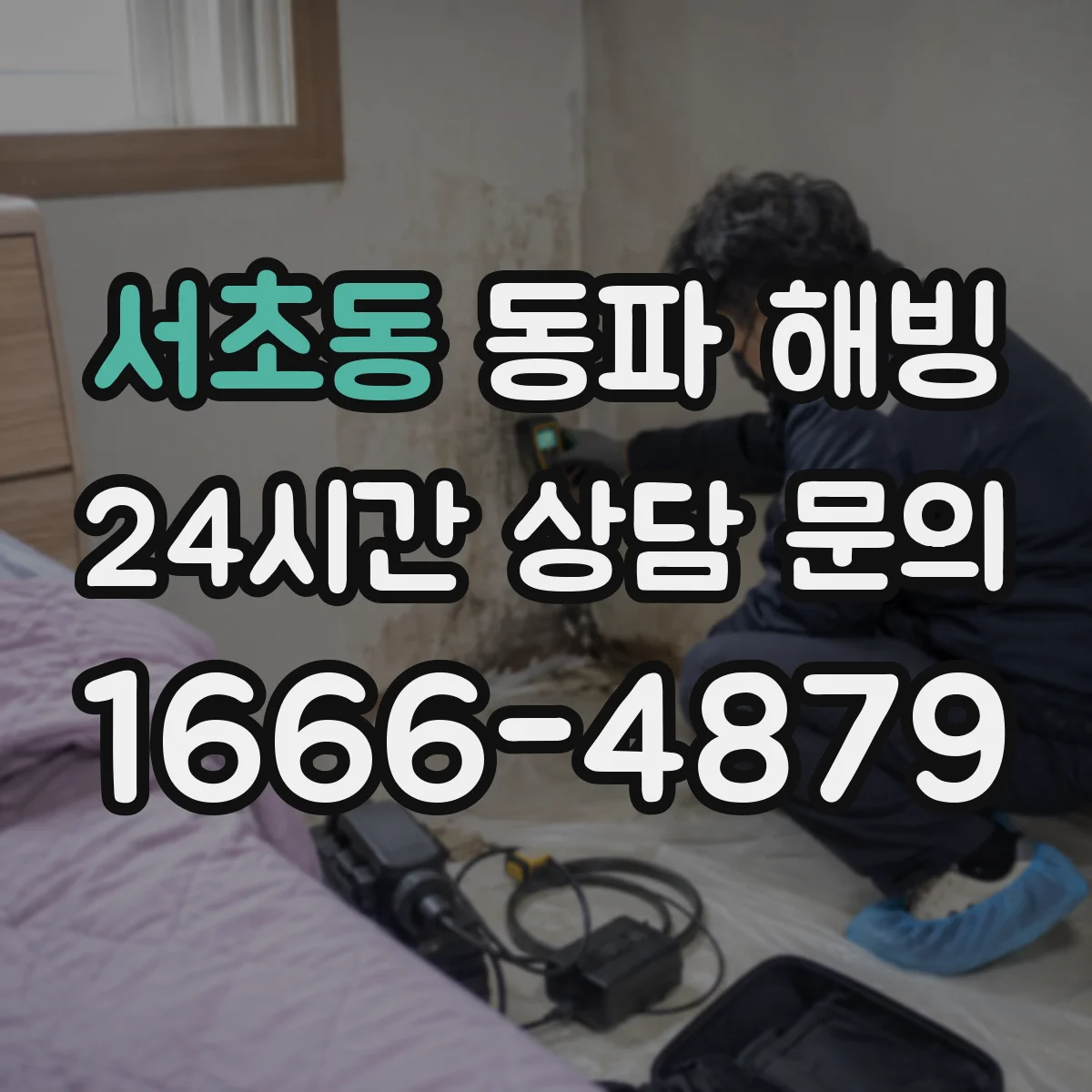 서초동 동파 해빙