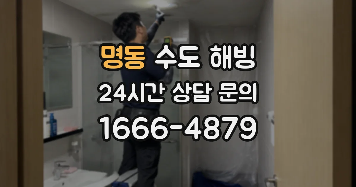명동 수도 해빙