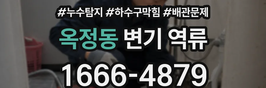 옥정동 변기 역류
