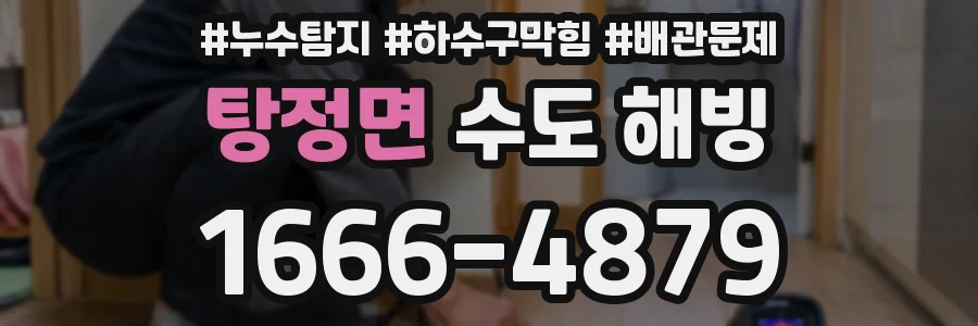 탕정면 수도 해빙