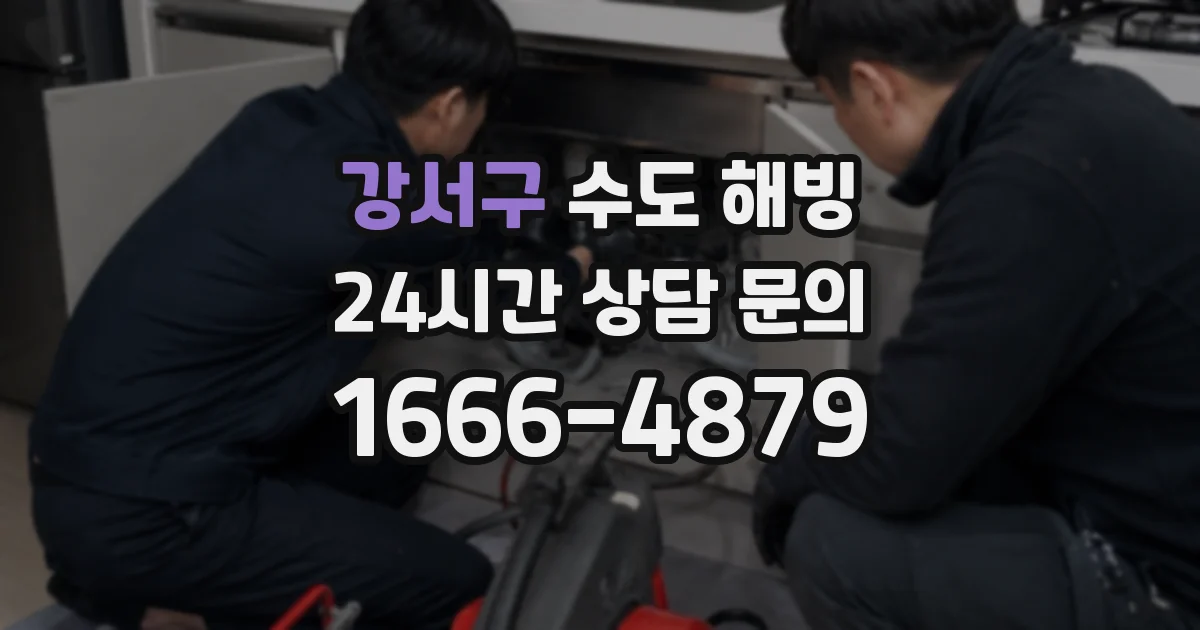 강서구 수도 해빙