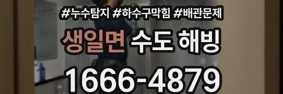 생일면 수도 해빙