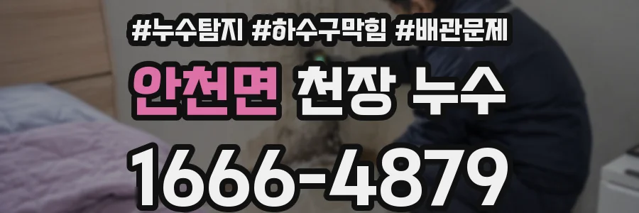 안천면 천장 누수