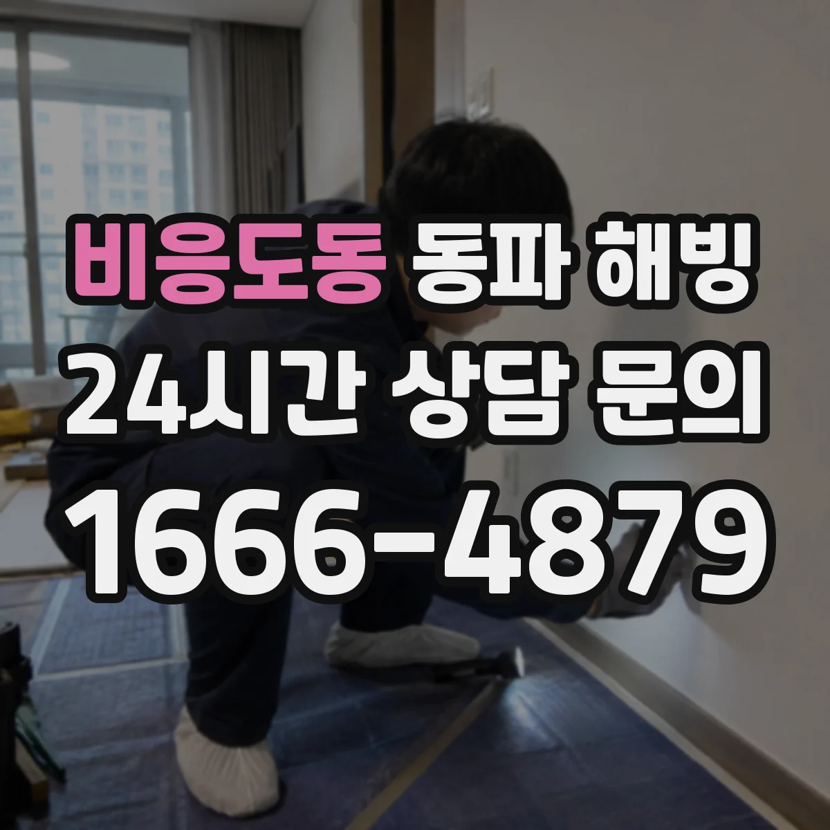 비응도동 동파 해빙
