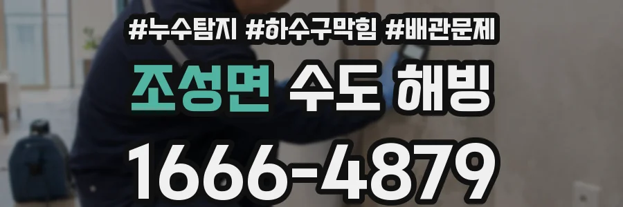 조성면 수도 해빙