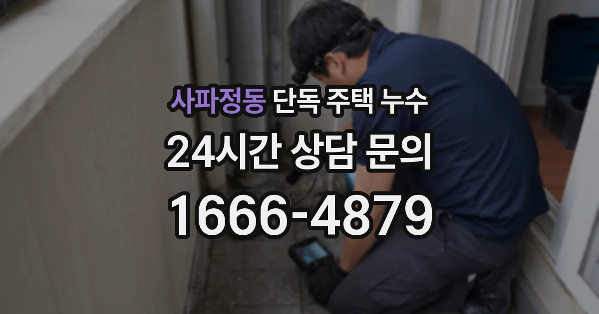 사파정동 단독 주택 누수