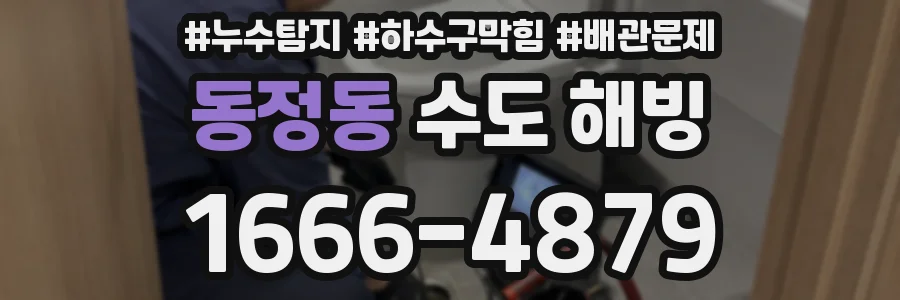 동정동 수도 해빙