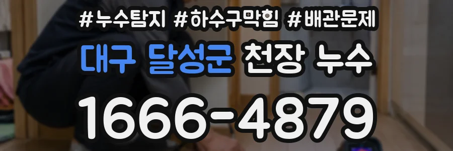 대구 달성군 천장 누수