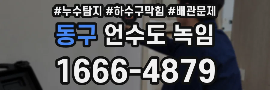 동구 언수도 녹임