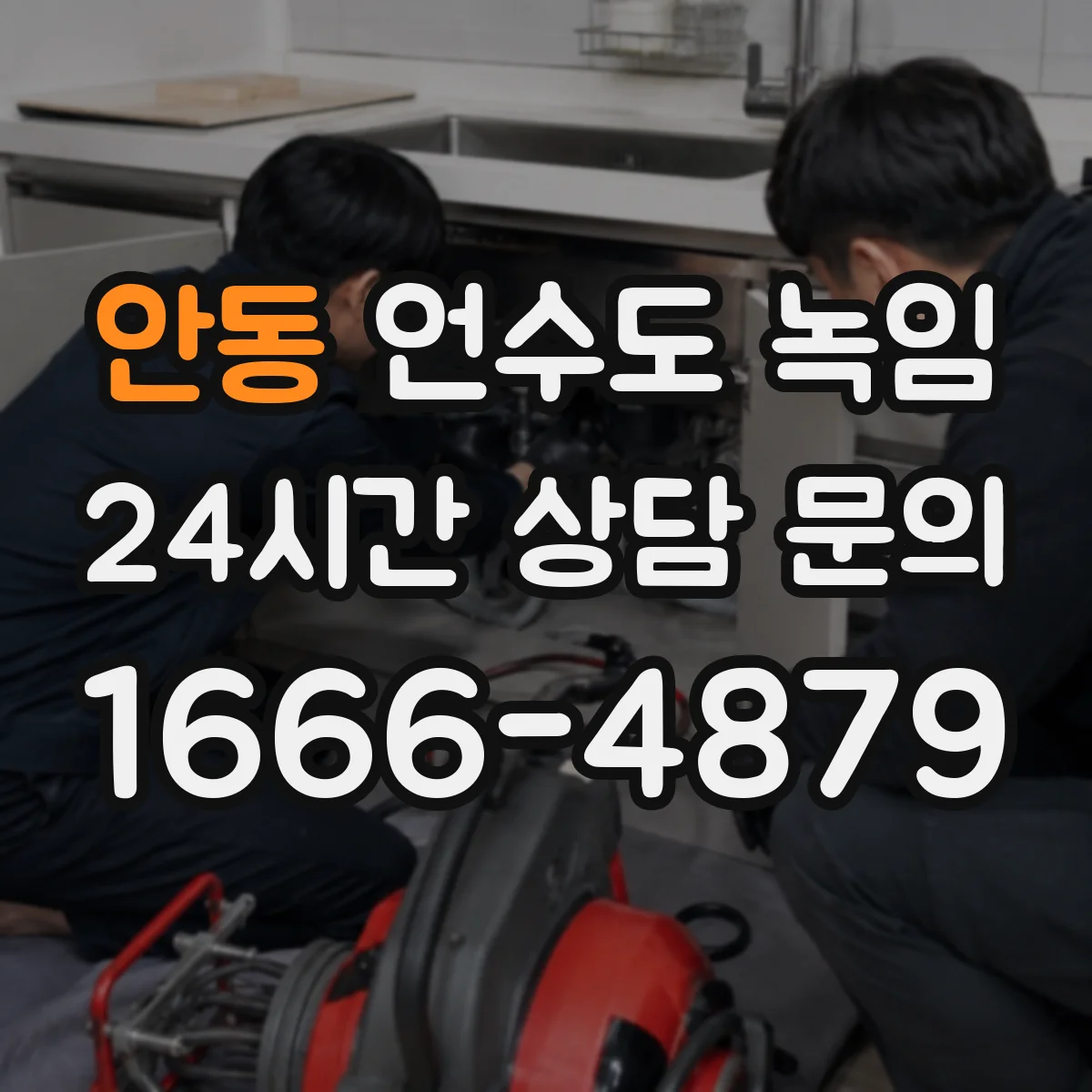 안동 언수도 녹임