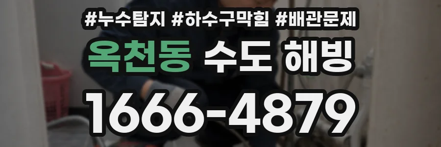 옥천동 수도 해빙