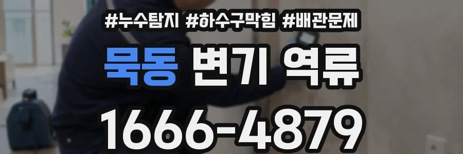 묵동 변기 역류
