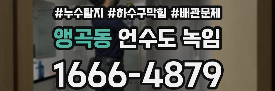 앵곡동 언수도 녹임