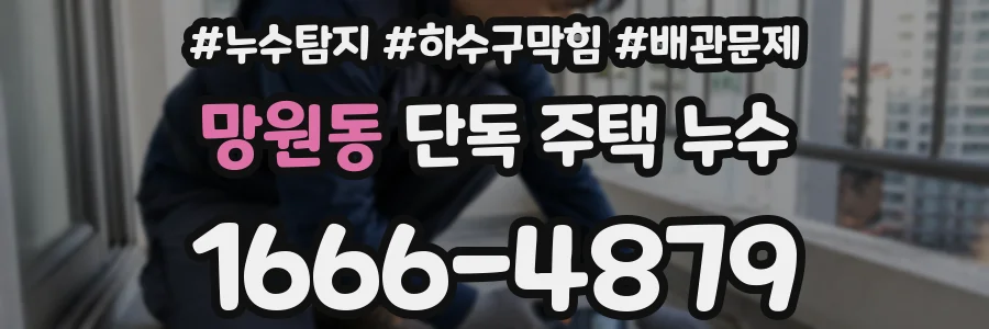 망원동 단독 주택 누수