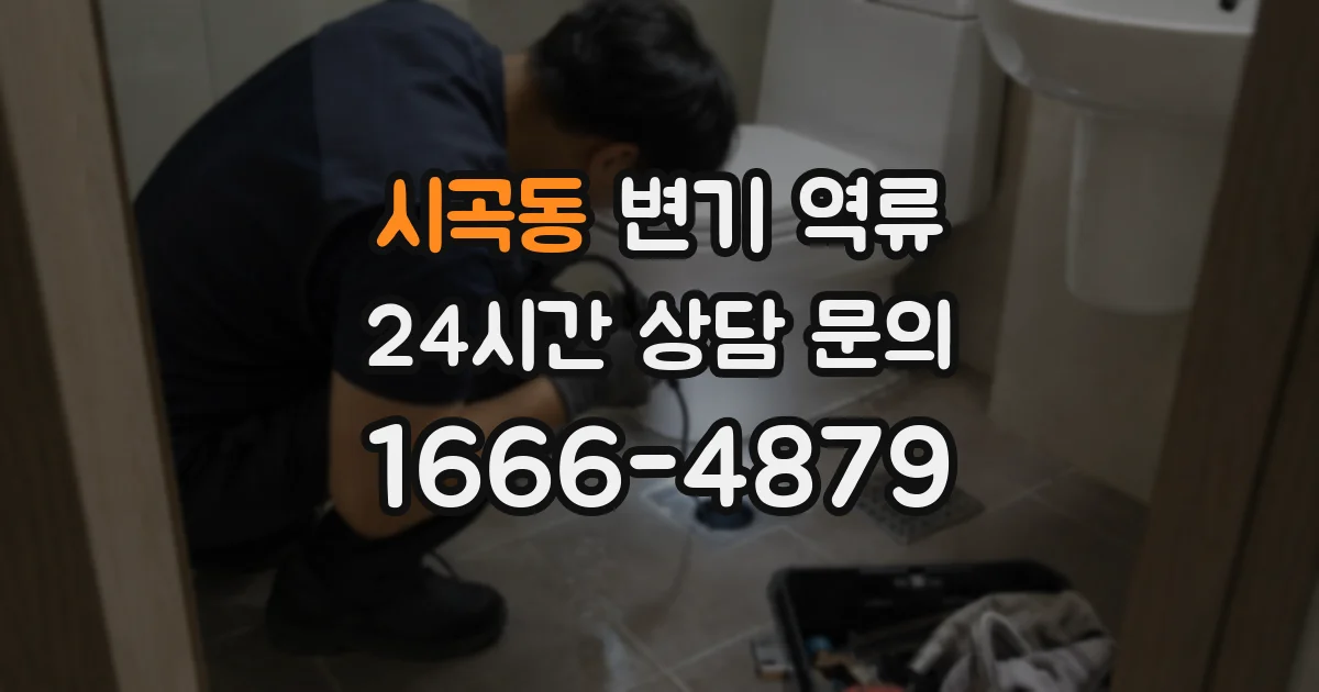 시곡동 변기 역류