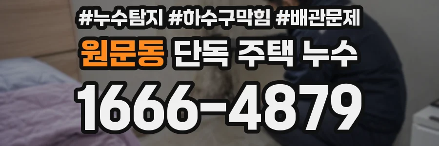 원문동 단독 주택 누수