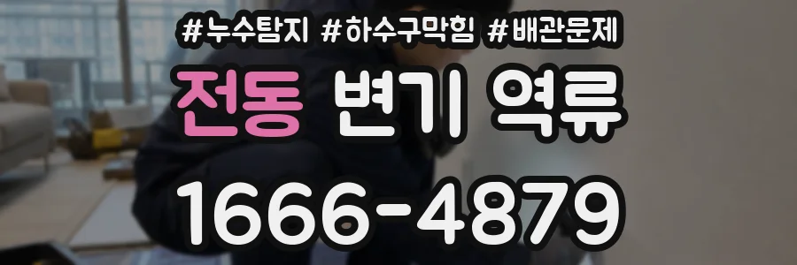 전동 변기 역류