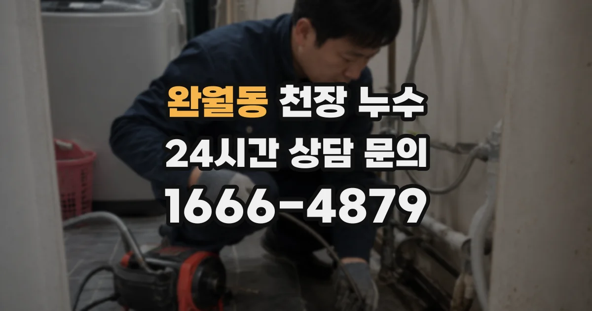 완월동 천장 누수