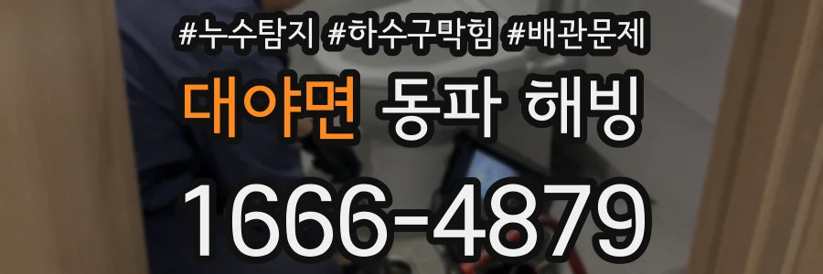 대야면 동파 해빙