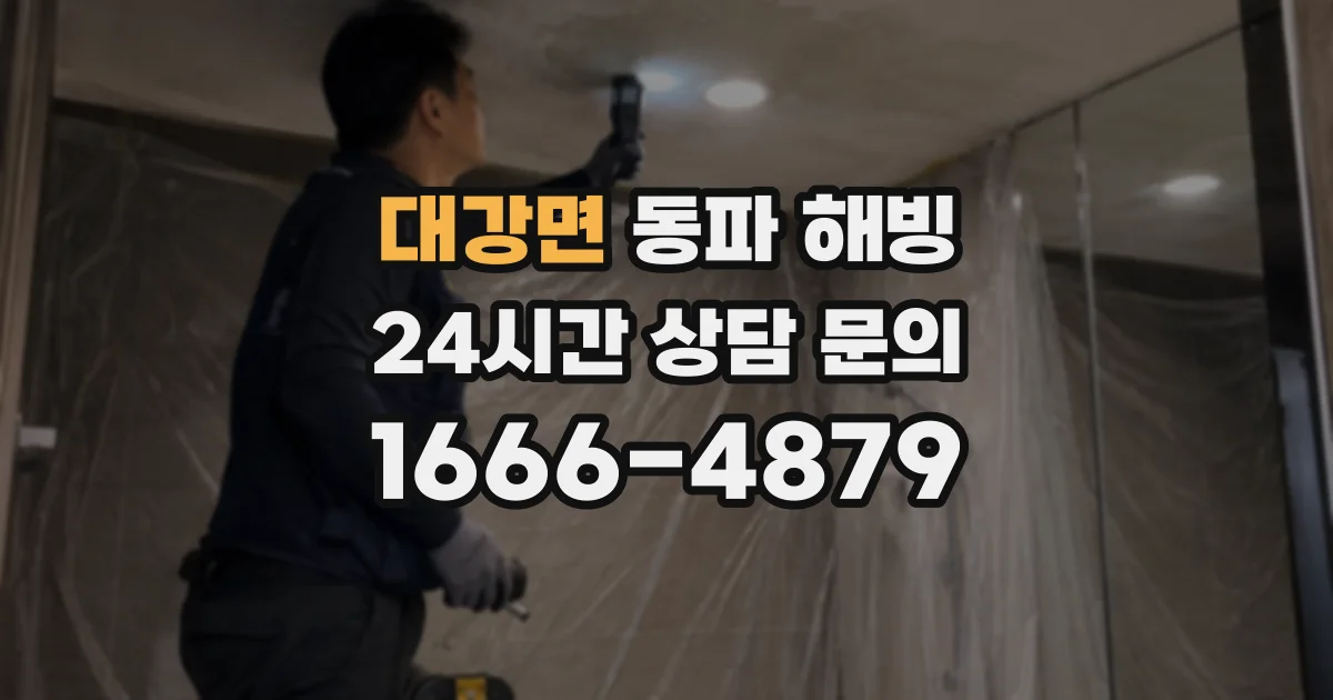 대강면 동파 해빙