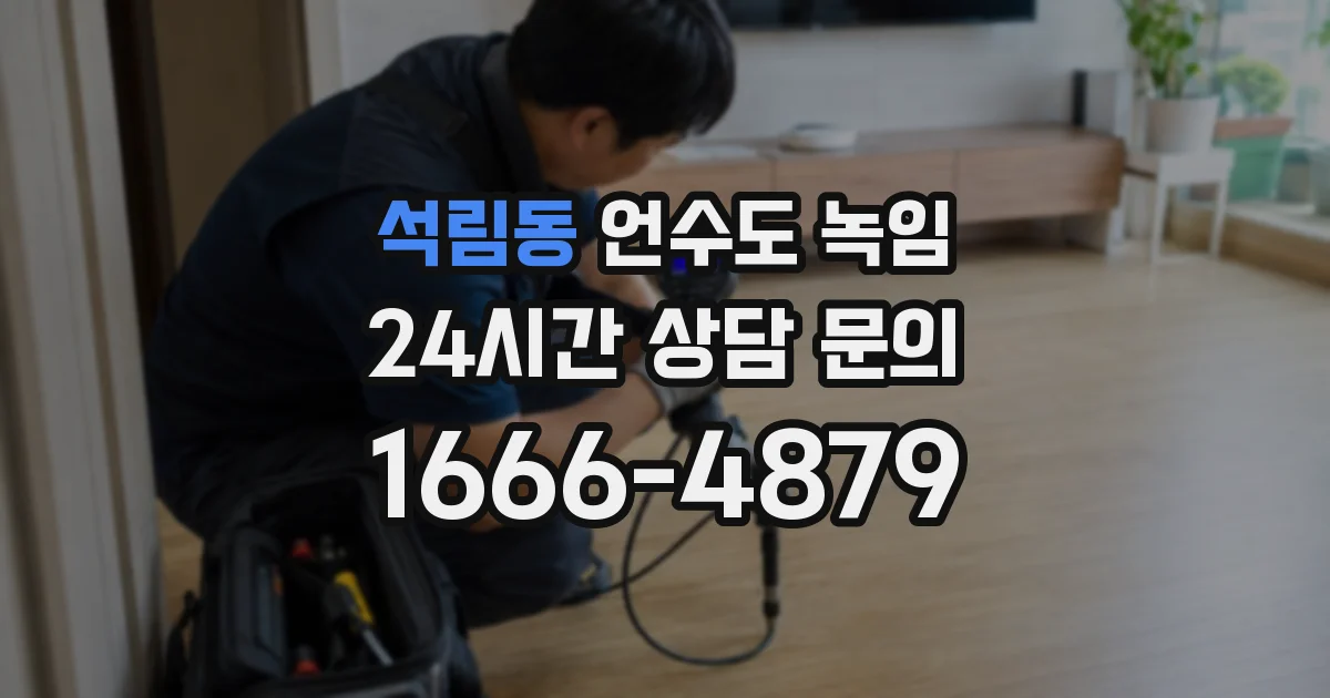 석림동 언수도 녹임