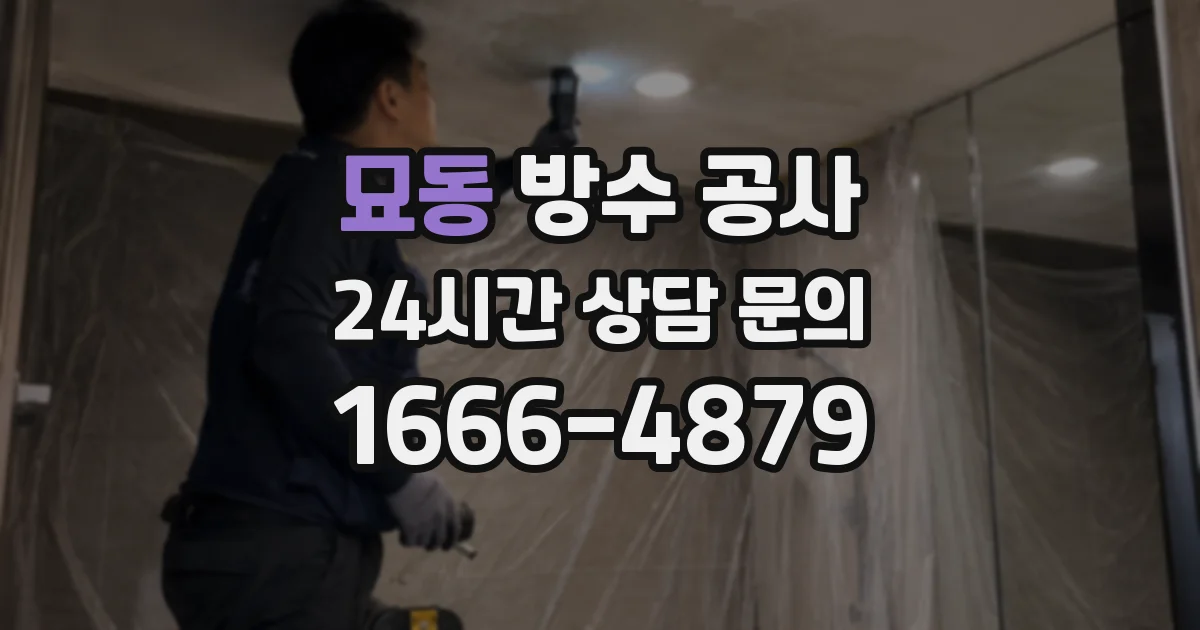 묘동 방수 공사